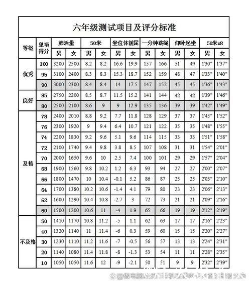 分级中心保障公平竞赛 田径设项复杂专业